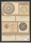 Arachnodiscus ornatus Ehr. (de-Toni-Nr.: Genus 204, Species 5209) Zeichnungen Sammlung Grunow Nr. 8992 (NHMW-BOT-W0378692)